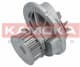 T0231 Kamoka Помпа