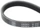 VKMV4PK802 SKF Поликлиновой ремень