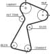 K015561XS Gates Комплект ременя ГРМ