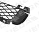 PBM07096GAL Signeda Решетка радиатора для BMW X5