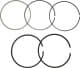 2C4549S Hastings Piston Rings Комплект поршневых колец