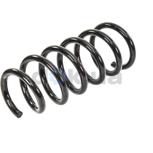 FT12249 Fast Пружина підвіски
