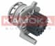 T0020 Kamoka Помпа