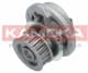 T0107 Kamoka Помпа