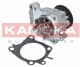 T0206 Kamoka Помпа