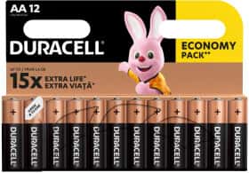 Батарейка Duracell RL027663 AA (пальчиковая) 1,5 V 12 шт Батарейка Duracell RL027663 AA (пальчиковая) 1,5 V 12 шт