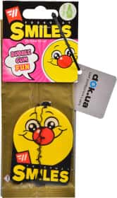 Ароматизатор Fresh Way Smiles Dry Bubble Gum 9 г Ароматизатор Fresh Way Smiles Dry Bubble Gum 9 г