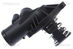 Термостат Triscan 862048487