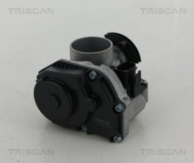 Дросельна заслінка Triscan 882029010