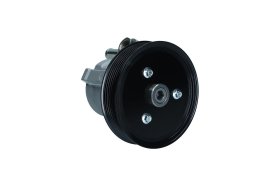 Насос ГУР Kamoka pp145