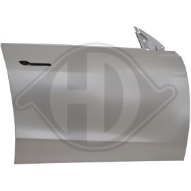 Двері Diederichs 7960020