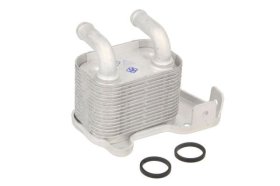 Оливний радіатор двигуна Thermotec D4X006TT