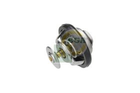 Термостат BGA ct0120