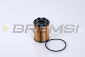 Масляный фильтр Bremsi fl0291