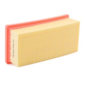 Повітряний фільтр RIDEX 8a0304
