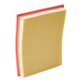 Повітряний фільтр RIDEX 8a0803