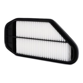 Воздушный фильтр RIDEX 8a0295