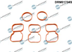 Прокладка ГБЦ Dr. Motor Automotive drm01734s