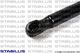 3935ZN Stabilus Газовый упор багажника