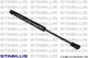 8456LU Stabilus Газовий упор капота