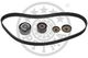 SK-1623 Optimal Комплект ременя ГРМ для Renault Laguna