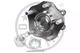961762 Optimal Ступица колеса для Nissan X-Trail