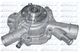 M217 Dolz Помпа