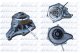 a267v Dolz Помпа