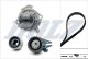 kd190 Dolz Комплект ременя ГРМ + помпа