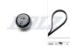 skd060 Dolz Комплект ремня ГРМ