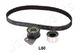 KDD-L08 Japanparts Комплект ременя ГРМ