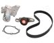 skds01 Japanparts Комплект ременя ГРМ + помпа