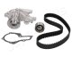 skd889 Japanparts Комплект ременя ГРМ + помпа
