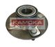 5500015 Kamoka Ступица колеса