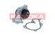 t0295 Kamoka Помпа