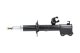 SSA6535 Kavo Parts Стійка амортизатора