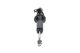 ssa2037 Kavo Parts Стійка амортизатора