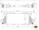 309082 NRF Інтеркулер