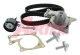wpk212901 Airtex Комплект ремня ГРМ + помпа