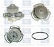 PA655P Saleri Sil Помпа