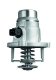 TM27101 Mahle Термостат