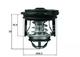 TI 246 50 Mahle Термостат для Ford Fiesta