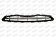 DS0142011 Prasco Решетка радиатора для Nissan Micra