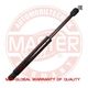 6308020-PCS-MS Master-Sport Газовий упор багажника на Lada Kalina