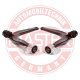 369724kitms Master-Sport Комплект рычагов для Peugeot 406