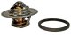 108188jk MotoRad Термостат