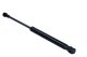 121901 MaXgear Газовый упор багажника на Fiat Linea