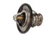 670053 MaXgear Термостат