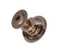 670068 MaXgear Термостат