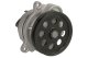 d1g060tt Thermotec Помпа